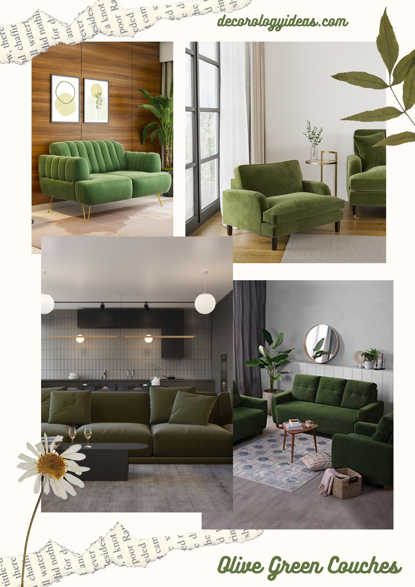 Olive Green Couches