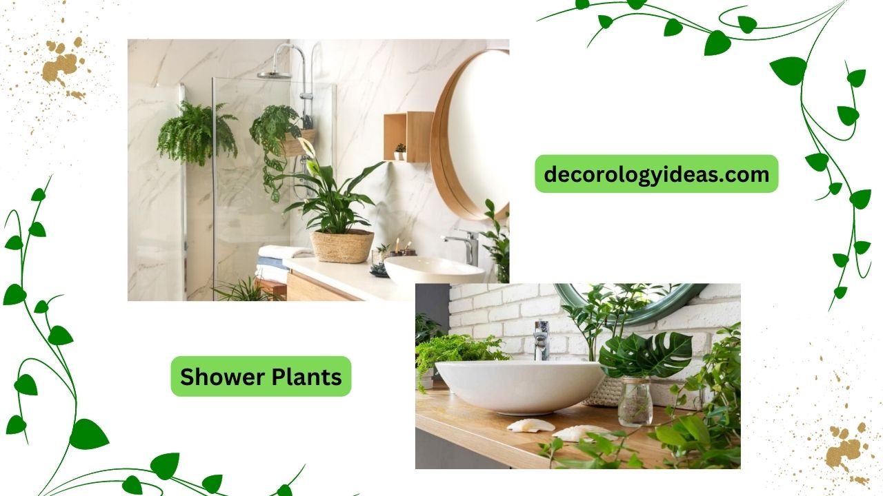 Shower Plants