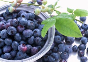 Seeded Blueberries